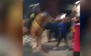 Fudbalski huligan šakom udario policijskog konja, a karma ga je brzo stigla